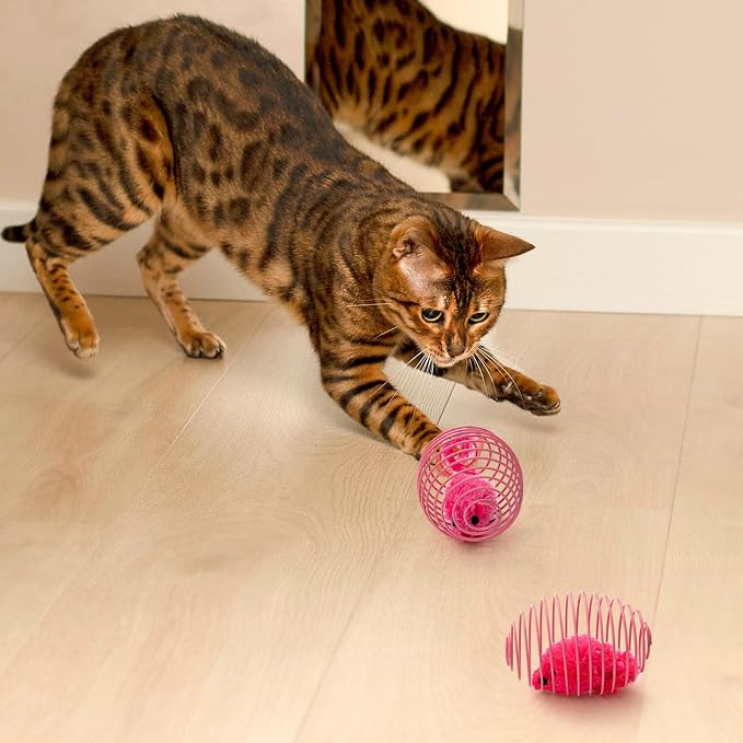 Jecery 5 Pcs Cat Toys Spring,Mouse,Pink | Interactive Metal Cat Toy, Stretchable Rolling Ball, for Indoor Cats, Colorful Playful Coils, Kitten Pet Supplies - Image 4
