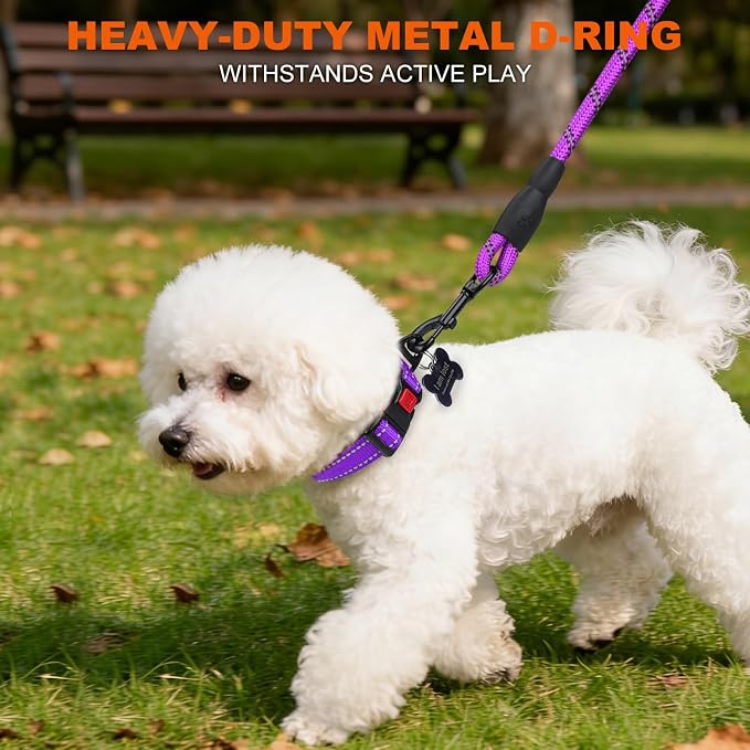 Taglory Reflective Small Dog Collar, Comfortable for Safe Night Walk,Purple | Night-Walk Visibility, Soft Neck Cushioning, Adjustable 10-16 in, Locking Buckle, D-Ring for Leash and ID Tags - Image 6