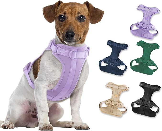 Wisedog Lightweight No Pull Dog Harness, Lilac, Medium | Air Mesh, 3 Clips, Adjustable, No Choke Design, Ideal for Walking Training by WisedogPetSupplies