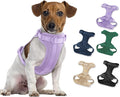 Wisedog Lightweight No Pull Dog Harness, Lilac, Medium | Air Mesh, 3 Clips, Adjustable, No Choke Design, Ideal for Walking Training by WisedogPetSupplies