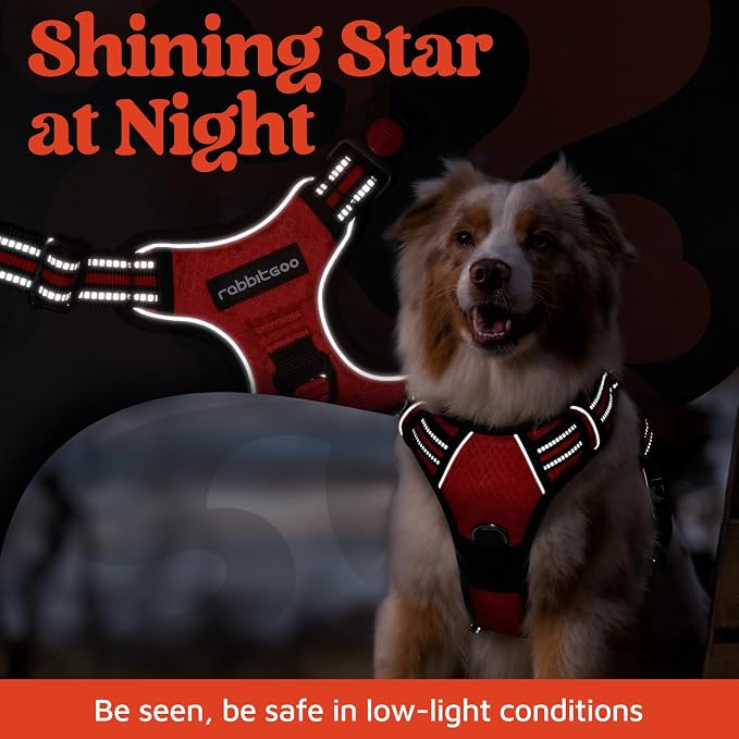 rabbitgoo Dog Harness for Large, No Pull 3 Buckles Easy On & Off | Soft Padded, Walking with Control Handle, Adjustable and Reflective, Red, X-Large - Image 6