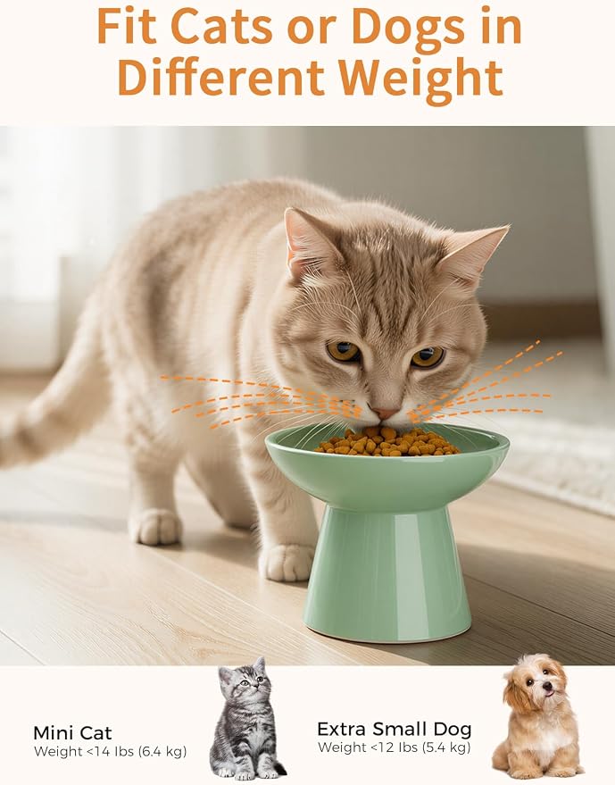 LoeJan Elevated Cat Food and Water Bowls Set, Extra Wide and Raised Ceramic Bowls, Anti-Vomit Whisker-Free Pressure Cat Feeder for Kittens to Adult Cats and Small Dogs - Image 5