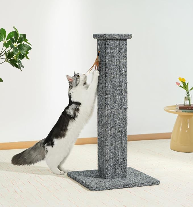 Made4Pets Cat Scratching Post for Indoor Cats, Carpet Cat Scratcher, 32" | Soft Carpet Surface for Cats That Prefer Fabric Scratching, Stable Base, Full-Body Stretching, Ideal for Kittens & Adult Cats - Image 8