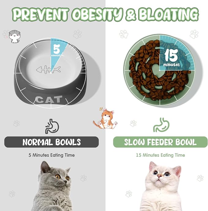 Tioncy 2 Pcs Ceramic Elevated Slow Feeder Cat Bowl, Raised Cat Slow Feeder Bowl, Anti Vomiting for Dry and Wet Food, No Spill High Edge Easy Clean Dishwasher Safe (Sage Green) - Image 3