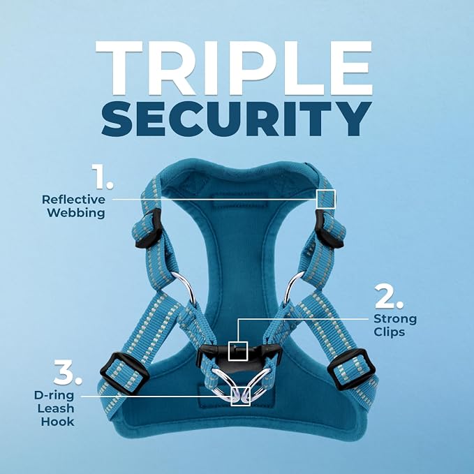 Voyager Step-in Flex Adjustable Dog Harness - Turquoise, Large | 20 - 25" in Chest, Fully Adjustable, Reflective Bands, All Weather Breathable Air Mesh, Lightweight, Fast Drying - Image 2