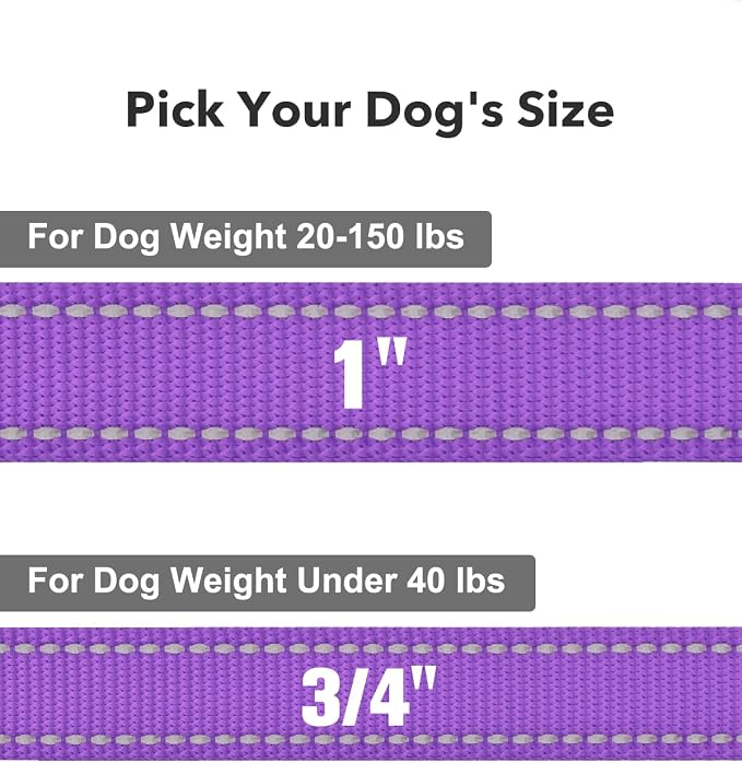 Taglory Reflective Dog Leash for Medium Large Dogs, 1in x 5ft, Purple | Ideal for Night Walking, Strong for Sudden Pulls, Lightweight & Gentle on the Neck, Soft Padded Handle - Image 4