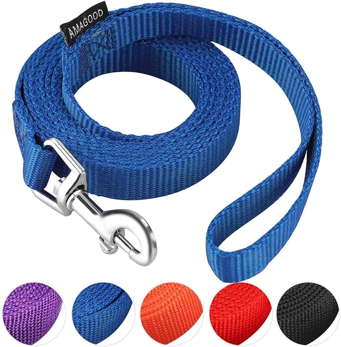 AMAGOOD 6 FT Puppy/Dog Leashes, Strong Traditional Style Leash with Easy to Use Collar Hook,Dog Lead Great for Small and Medium and Large (Blue,5/8" x 6 Feet) by DOGLEASH
