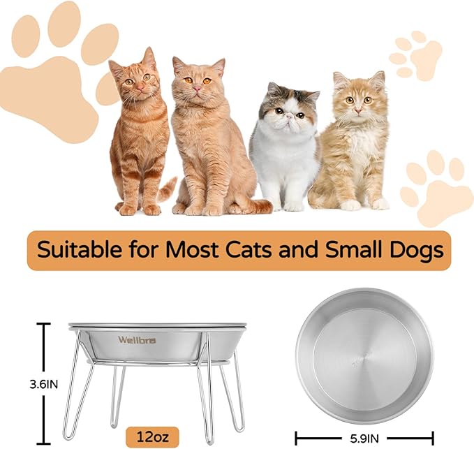 Elevated Cat Bowls, Wide Stainless Steel Cat Food Bowls with Metal Stand Whisker Stress-Free, Raised Food and Water Dish for Cats, Kitten, Puppies and Small Dogs - Image 5