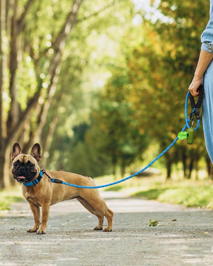 Dynmeow Reflective Dog Collar and Leash Set for Small Dogs, Blue | Soft Neoprene Padded, 6FT Climbing Rope, Ideal for Daily Outdoor Walking or Indoor Wearing, Night Visible for Safety - Image 5
