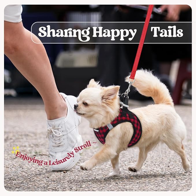 rabbitgoo Dog Harness Small Sized and Leash Set, Step-in Puppy Pet Vest | Light, Soft, Breathable Air Mesh, Easy on and Remove with Hook & Loop, Secure Reflective for Walking, Red Check XS - Image 9