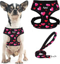 PUPTECK Small Dog Harness and Leash Set No Pull for XS XXS Sized Dogs Puppy | Escape Proof No Choke Pet Cat Adjustable Soft Padded Walking Vest by PUPTECK