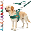 BEAUTYZOO Dog Harness for Large Dogs,No Pull Step in Pet Vest and Leash Set | Breathable Mesh with Handle, Reflective, Adjustable No Choke Escape Proof, Lightweight, Easy Control for Walking, Green L by BEAUTYZOO
