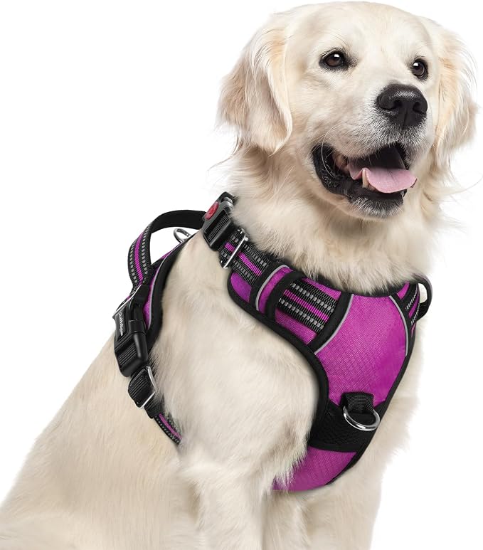 rabbitgoo Dog Harness for Large, No Pull 3 Buckles Easy On & Off | Soft Padded, Walking with Control Handle, Adjustable and Reflective, Purple, X-Large by rabbitgoo