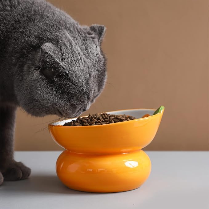 Cute Ceramic Raised Cat Food Bowl, Orange Shaped Cat Dish | Elevated Design, Fruit Themed, Anti Vomiting, Tilted Feeding, Indoor Cats - Image 3