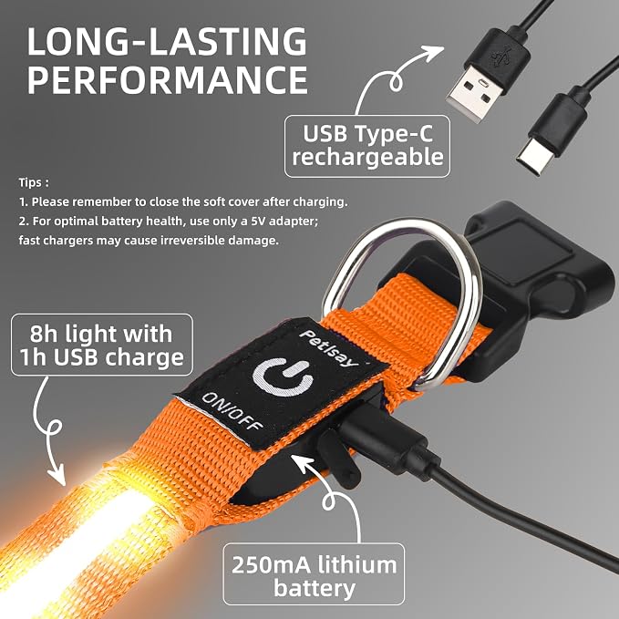 Super Bright LED Dog Collar, Waterproof Light up Collars(Orange, Medium) | Lighted Dog Collar with Adjustable Fit, Soft Nylon Comfort, USB-C Rechargeable, Glow in the Dark Visibility for Night Walks - Image 6