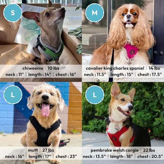 Gooby, Dog Harness, Sporty, Large, Red - Escape Free Sport Harness with Patented Neoprene Technology, 4-Point Adjustment, No Choke, Perfect for Small Dogs No Pull | Patented escape-free frame; Reduces choking; 4-point adjustment; Soft neoprene padding;... - Image 5