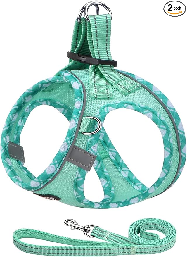 AMTOR Small Dog Harness with Leash Set, No Escape Easy Walk Puppy Harnesses for Training Walking, Step-in Reflective Soft Dogs Vest for XS S Medium Extra-Small Large Sized Dog (Light Green,S) by AMTOR