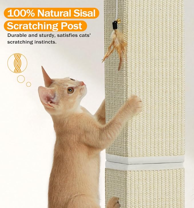 Made4Pets Cat Scratching Post for Indoor Cats, Sisal Cat Scratcher, 32" | Full Sisal Surface, Durable for Heavy Scratchers, Stable Base, Full-Body Stretching, Feather Toy for Kittens & Adult Cats - Image 6