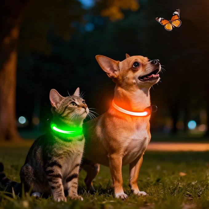 Light up Collar for Small Dog,Vizpet XS Adjustable Size Nylon Led Collar | USB Rechargeable Bright Safety Pet Collar for Cats Small Dogs (Orange, X-Small[ 8.66-11.9 inch/22cm-30cm]) - Image 7