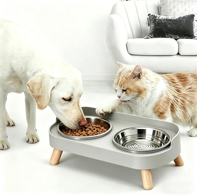 Elevated Cat Bowls, 2 Stainless Steel Raised Cat Food and Water Bowl Set, Splash Proof & Non-Slip, Whisker Fatigue Friendly, Dishwasher Safe for Cats and Small Dogs - Gray - Image 5