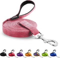 Long Line Dog Training Leash with Padded Handle, 50 ft, Pink | Durable nylon webbing with reinforced stitching and 360° swivel clip for recall and obedience by Loutep