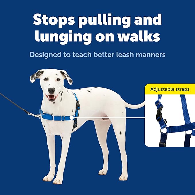 PetSafe Easy Walk Harness, No Pull Dog Harness, Royal Blue, Medium/Large | Patented Martingale Loop Gives Gradual Shoulder Pressure to Stop Pulling, Front-Chest Leash Clip Prevents Gagging - Image 3