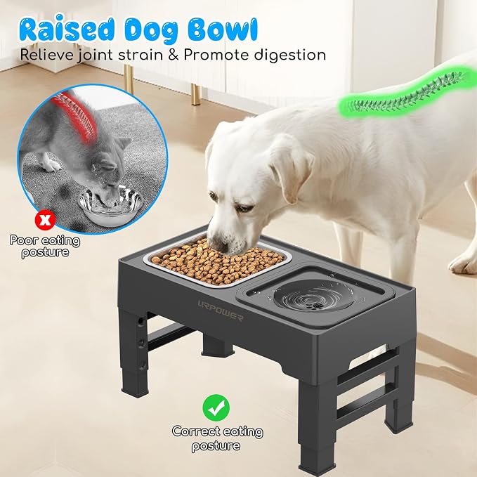 URPOWER 2-in-1 Elevated Dog Bowls 4 Height Adjustable Raised Dog Bowls | Stainless Steel Food Bowl with No Spill Water Bowl and Non-Slip Stand for Small Medium Large Dogs - Image 3