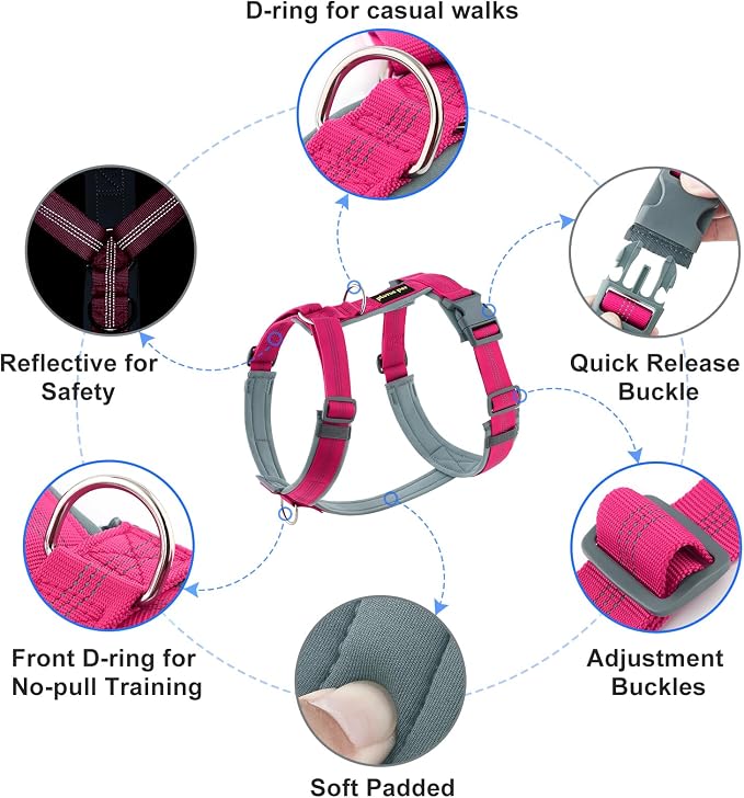 Plutus Pet No Pull Dog Harness, Adjustable Nylon Harness with Soft Padding | Reflective with Front Clip, Heavy Duty for Training and Walking, for Small Medium Large Dogs, Hot Pink, L - Image 2