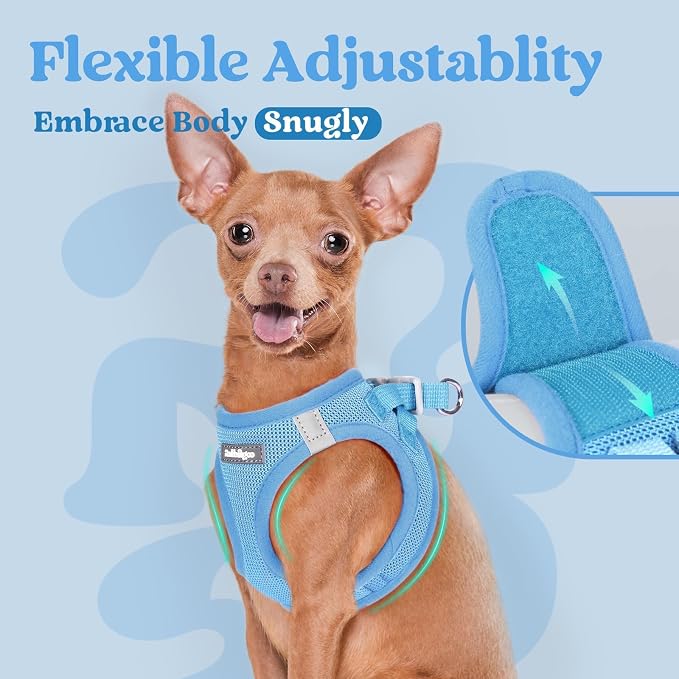 rabbitgoo Step-in Small Dog Harness, Puppy Vest for Small Medium Sized Pet | Easy Put on and off, Lightweight, Soft, Breathable Quick-Dry Air Mesh for Comfortable Secure Walking, Blue L - Image 6