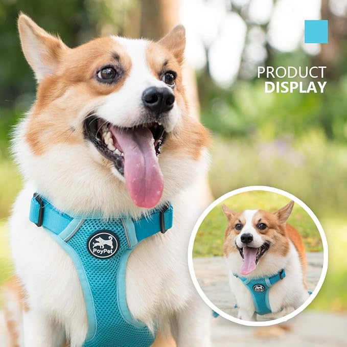 PoyPet Mesh Dog Harness, Reflective Breathable Puppy Vest for Medium Dogs | Lightweight, Soft Air Mesh, Back D-ring, Adjustable, Comfortable, Double Padded, No Choke, for Daily Walking, M, Light Blue - Image 6