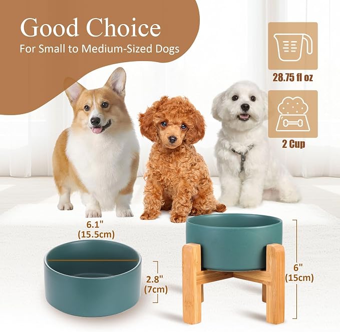 Ceramic Elevated Dog Bowl with Bamboo Stand, for Small & Medium Dog, Green - Image 2