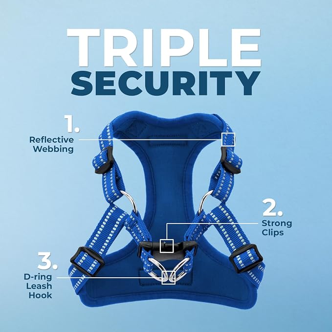 Best Pet Supplies Voyager Adjustable Step-in Flex Breathable Mesh Dog Harness for Small Medium Large Dogs Leash Set (Royal Blue), L - Image 2
