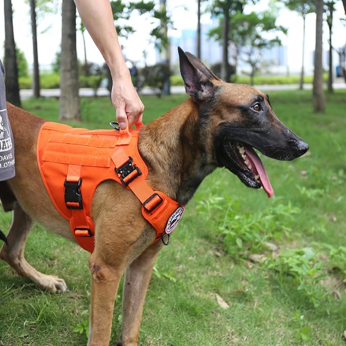 ICEFANG Tactical Dog Harness for Large Dogs,Reflective No Pull Dog Vest | with Control Handle,Adjustable,Front Hook,2 Leash Clips,Soft Padded,MOLLE Panel,Orange,Large - Image 5