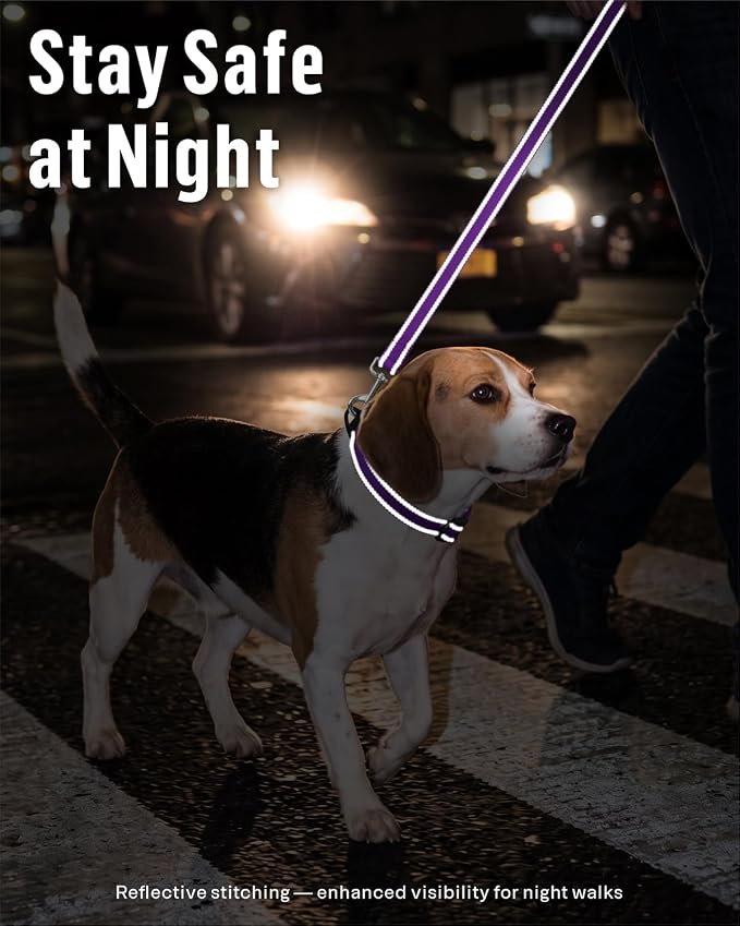 FunTags Reflective Nylon Dog Leash for Small & Medium Dogs, 6FT for Walks | Comfortable Padded Grip, Stay Safe at Night, 360° Anti-Tangle Swivel, for Dog Parks & Trails, Purple - Image 3