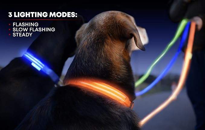 ILLUMISEEN LED Dog Collar USB Rechargeable - Bright & High Visibility Lighted Glow Collar for Pet Night Walking - Weatherproof, in 6 Colors & 6 Sizes (Pink Small) - Image 3