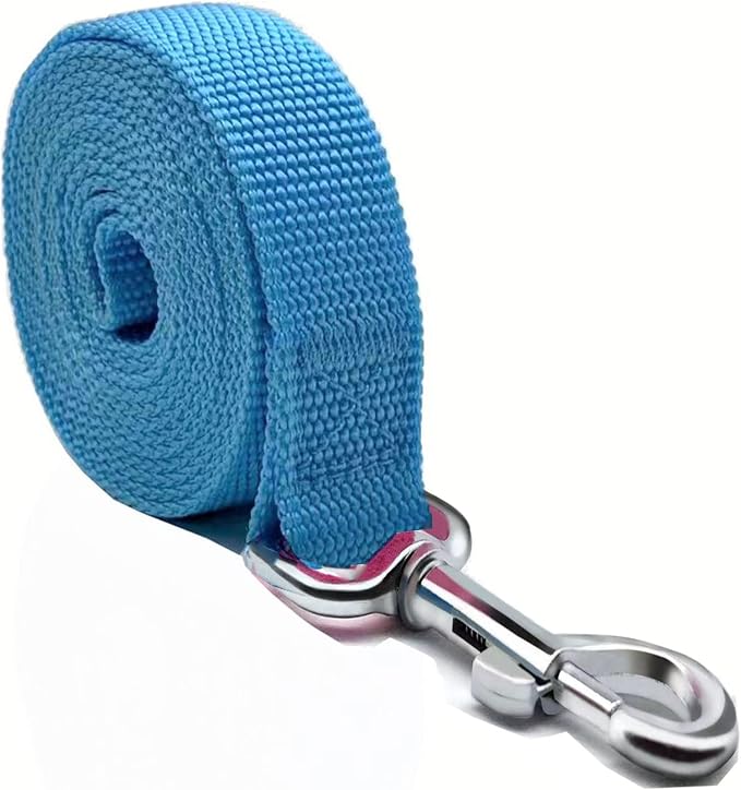 Nylon Dog Leash 4 Ft 5 Feet 6 Foot Long, Walking Training Dog Leashes for Medium Large Dogs, 1 Inch Wide (3/4" X 6 ft, Blue) - Image 2