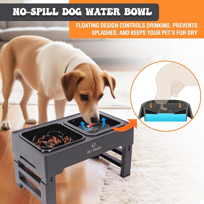 Elevated Dog Bowls with Collapsible Scoop, Slow Feeder Dog Bowls & No-Spill Water Bowl, Raised Dog Bowl Stand 4 Adjustable Heights for Small, Medium & Large Dogs - Image 6