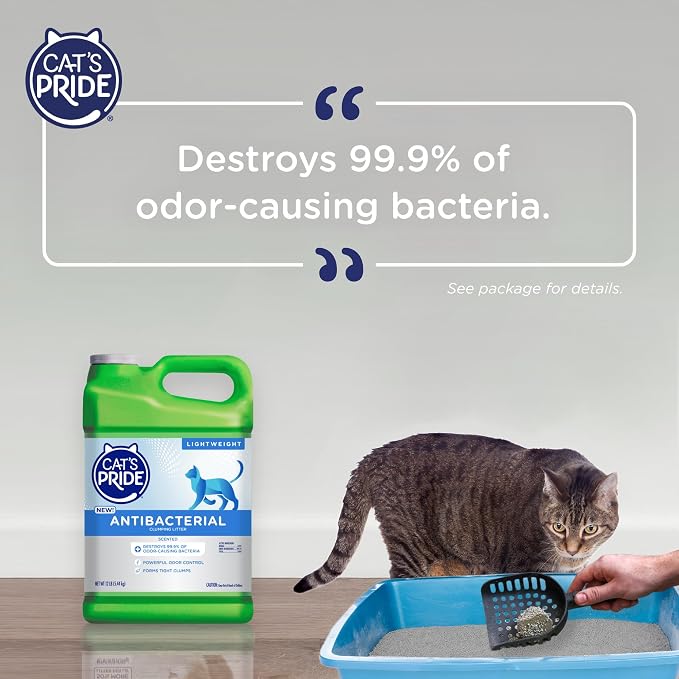Cat's Pride Antibacterial Litter, Odor-Eliminating Lightweight Scented 12lb - Image 5