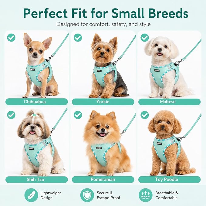 AMTOR Small Dog Harness with Leash Set, No Escape Easy Walk Puppy Harnesses for Training Walking, Step-in Reflective Soft Dogs Vest for XS S Medium Extra-Small Large Sized Dog (Light Green,S) - Image 6