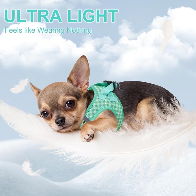 AIITLE Step in Small Dog Harness and Leash Set, Pet Vest, Turquoise XS | Breathable Mesh, Adjustable Fit, No-Pull Reflective Design, Escape Proof, for Small-Medium Dogs, Outdoor Walking, Running - Image 6
