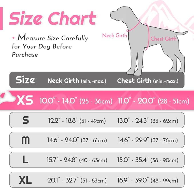 Eagloo Dog Harness for Small Dogs, No Pull Pet Vest with 2 Leash Clips | No Choke with Handle, Adjustable Comfort Fit, Reflective Strips, Easy Walking Control, Pink, X-Small - Image 2