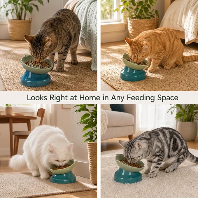 Ceramic Slow Feeder Cat Bowl, 15-Degree Tilted Non-Slip | Food-Grade Ceramic For Indoor Cats, 5.3 In Shallow Bowl, Whisker-Friendly, Dry And Wet Food, Dishwasher Safe - Image 9