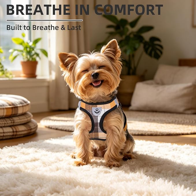 PUPTECK Dog Harness, Collar and Leash Set No Pull for Small Medium Sized | Plaid Puppy Step-in Escape Proof Reflective No Choke Pet Cat Adjustable Walking Vest - Image 8