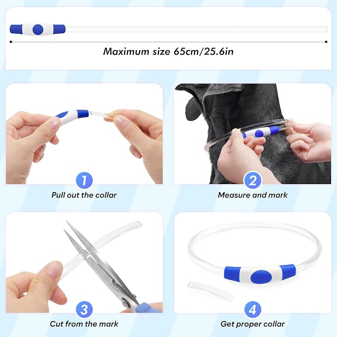 Light Up Dog Collar - 360° Visible Rainproof LED Dog Collar Rechargeable - TPU Cuttable Glowing Pet Collar for Small Medium Large Dogs - Safety Dog Lights for Night Walking& Camping (Blue 70cm) - Image 4