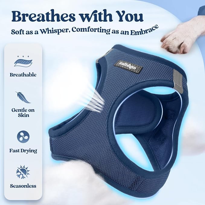 rabbitgoo Dog Harness Small Sized and Leash Set, Step-in Puppy Pet Vest | Light, Soft, Breathable Air Mesh, Easy on and Remove with Hook & Loop, Secure Reflective for Walking, Navy Blue M - Image 4