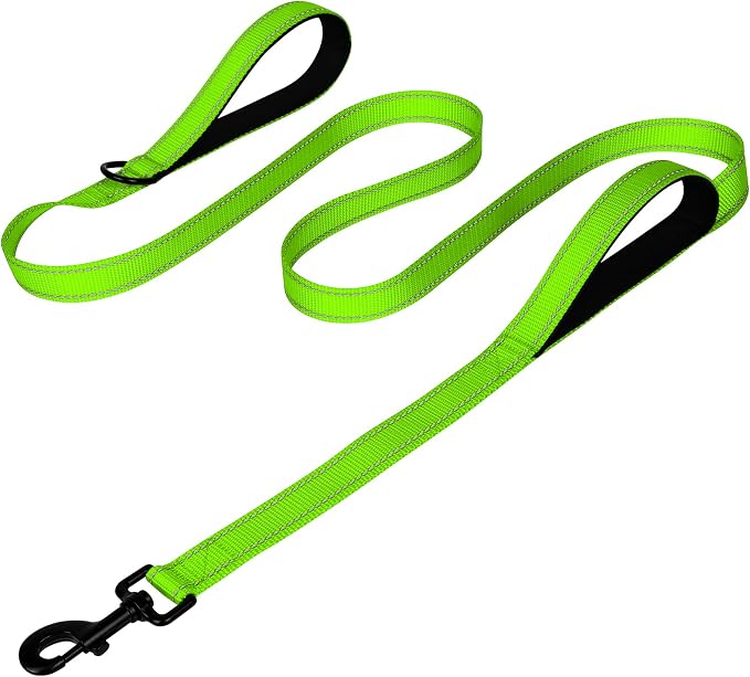 Joytale Dog Leash for Large Dogs that Pull, Double Handle, 5FT, Green | Traffic Handle for Control, Padded Handle Reduces Hand Strain, Reflective Stitching for Night Safety, Strong Nylon Webbing by Joytale