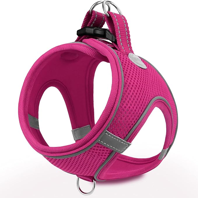 Joytale Step-in Dog Harness, Soft Breathable Mesh, Hot Pink XL | Adjustable Fit for Small Dogs, Easy Step-in with Secure Fastener, Even Chest Pressure, Reflective For Night Safety, Washable by Joytale