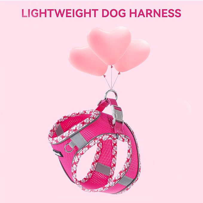 Petank Dog Harness for Small Medium Dogs No Pull, Puppy Harness and Leash Set for Walking, Running, Training, Small Dog Harness, Medium Dog Harness (Rose Red, L) - Image 7