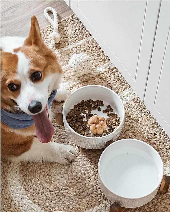 LE TAUCI Dog Bowls Ceramic for Small Medium Dogs - 4-Cup Dual Food & Water Bowl Set with Acacia Wood Stand, Non-Slip Anti-Tip Elevated Design - Image 6