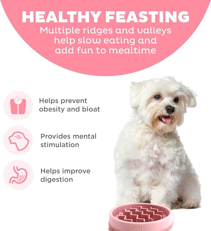 Outward Hound Fun Feeder Slo Bowl Dog Slow Feeder, Wave, Pink, 5.8" | Slows Fast Eaters, Can Aid Digestion, Holds 3/4 Cup Dry or Wet Food, Non-Slip Base, No BPA, Small Dogs, Puppies & Cats - Image 2